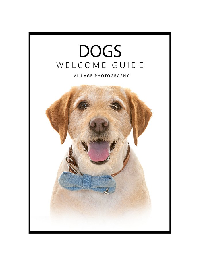 Dog Welcome Guide Front Cover - Newcastle dog photography