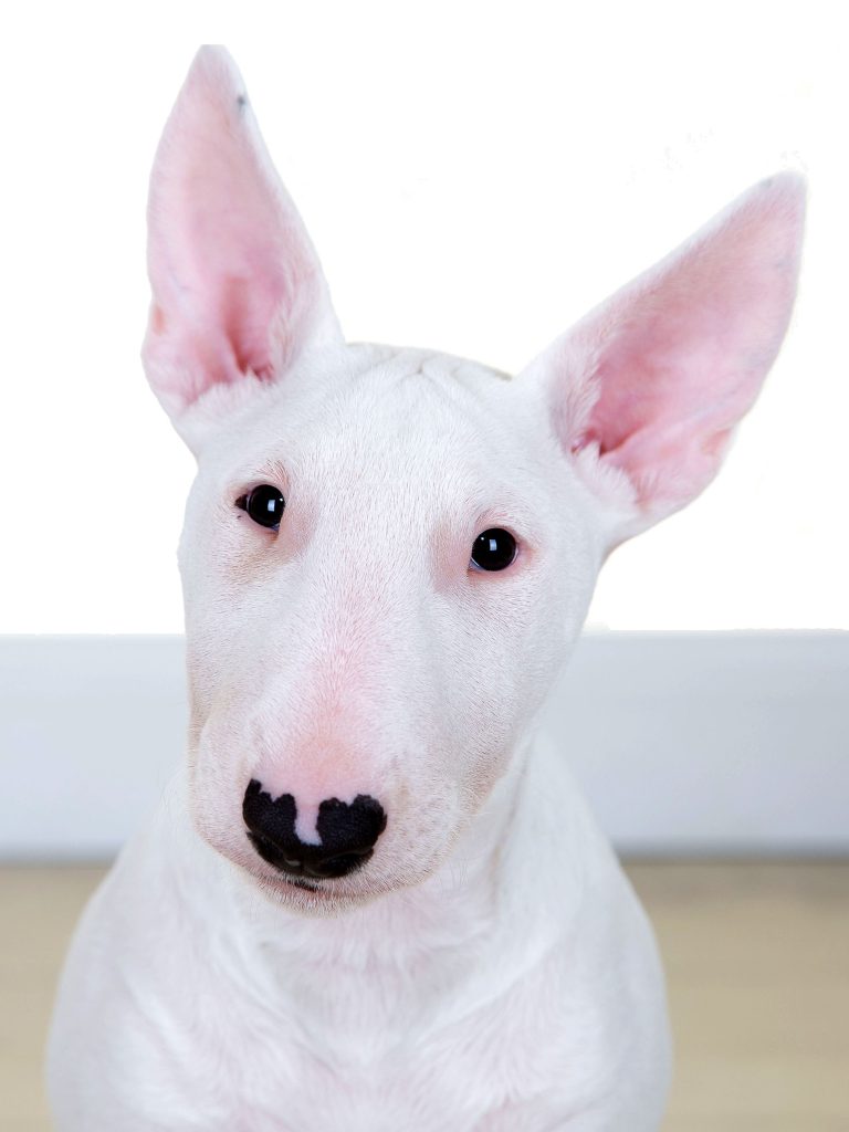 Gallery 2025 5 Alba Todd