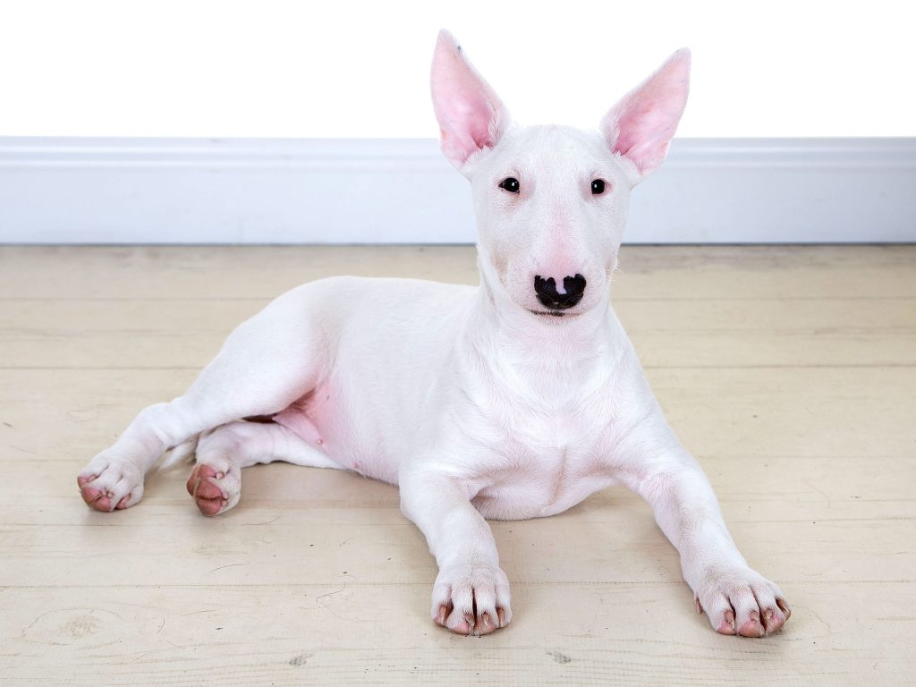 Gallery 2025 6 Alba Todd