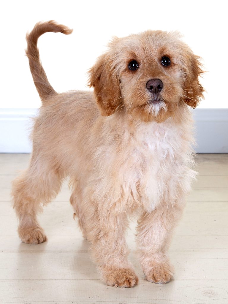 Gallery 2025 11 Archie Mcfall