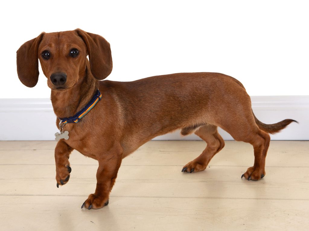 Gallery 2025 9 Archie ashton