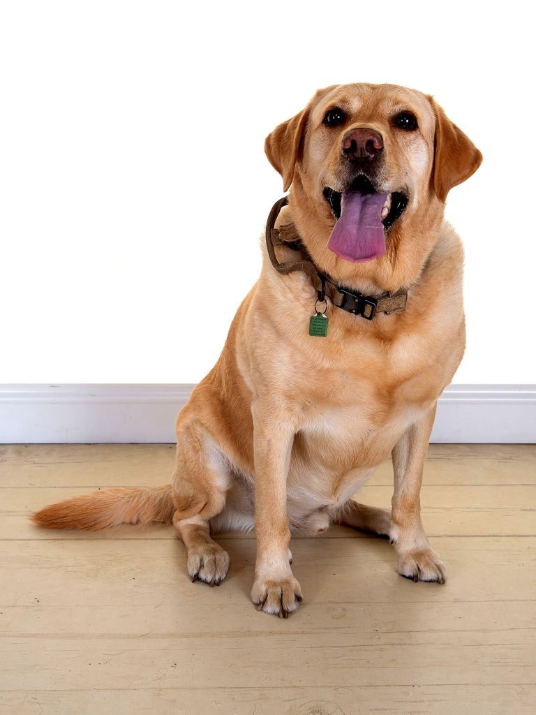 Gallery 2025 10 Bailey Madge