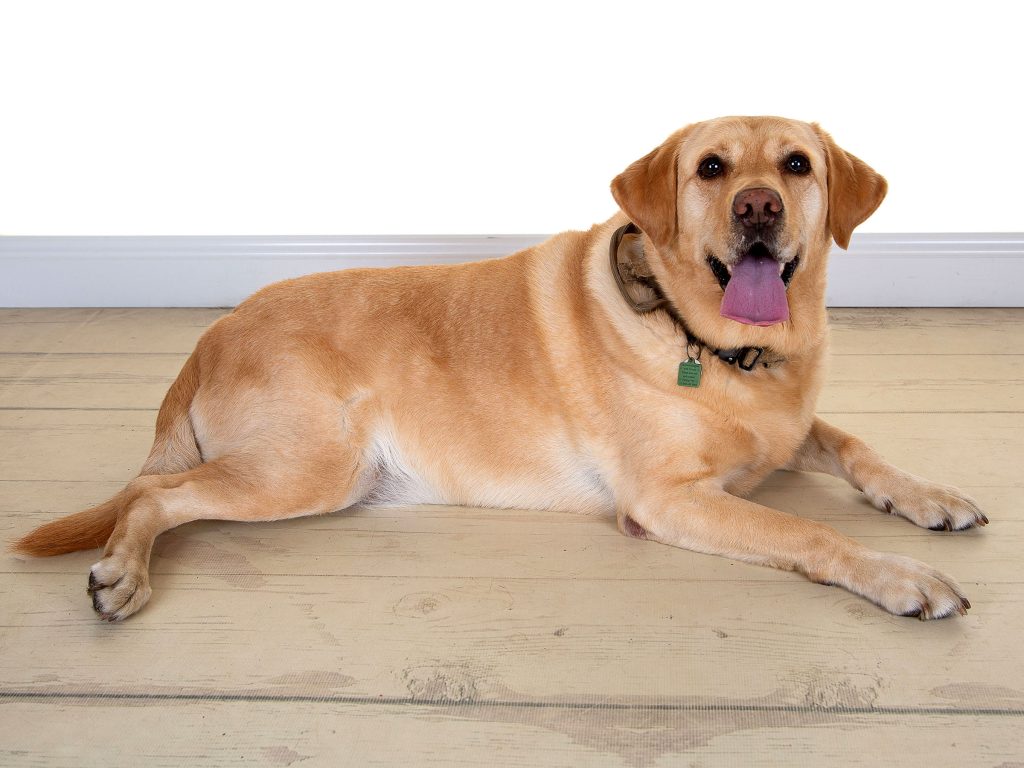 Gallery 2025 12 Bailey Madge