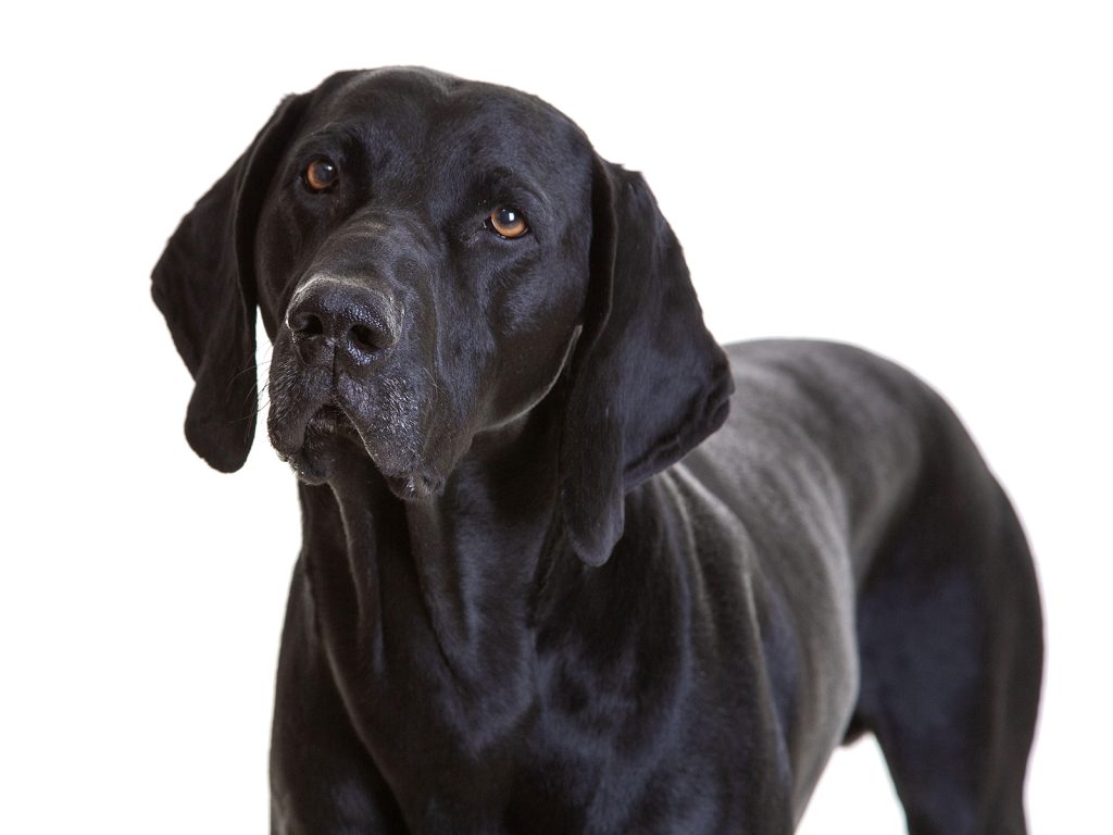 Gallery 2025 13 Barney Myers