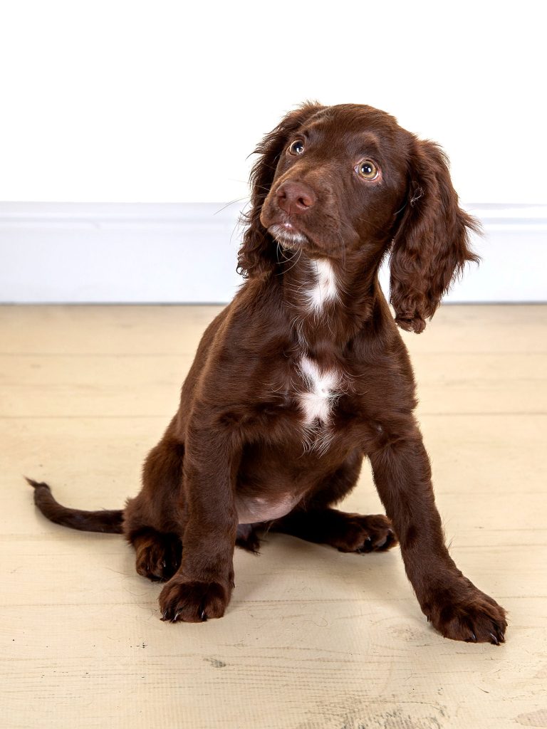 Gallery 2025 14 Bella Henderson