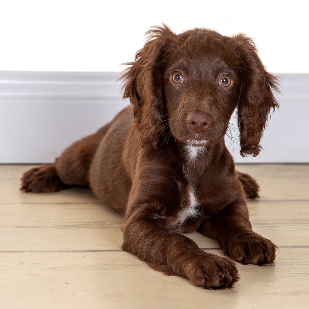 Gallery 2025 15 Bella Henderson