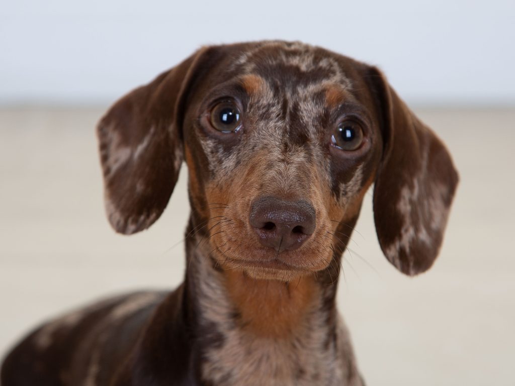 Gallery 2025 16 Bella Price