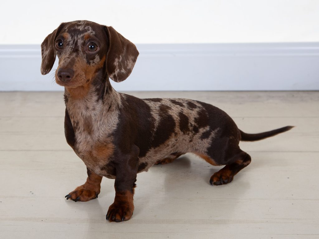 Gallery 2025 17 Bella Price