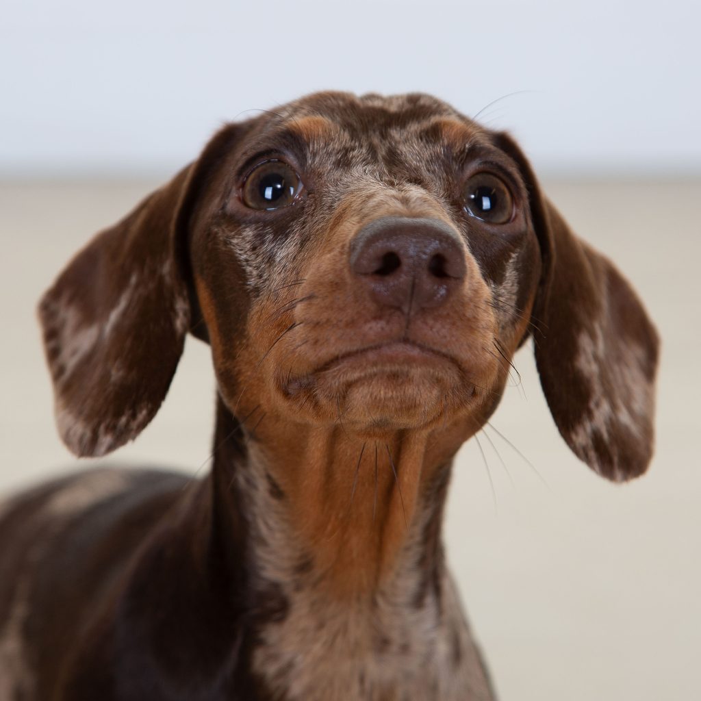 Gallery 2025 18 Bella Price