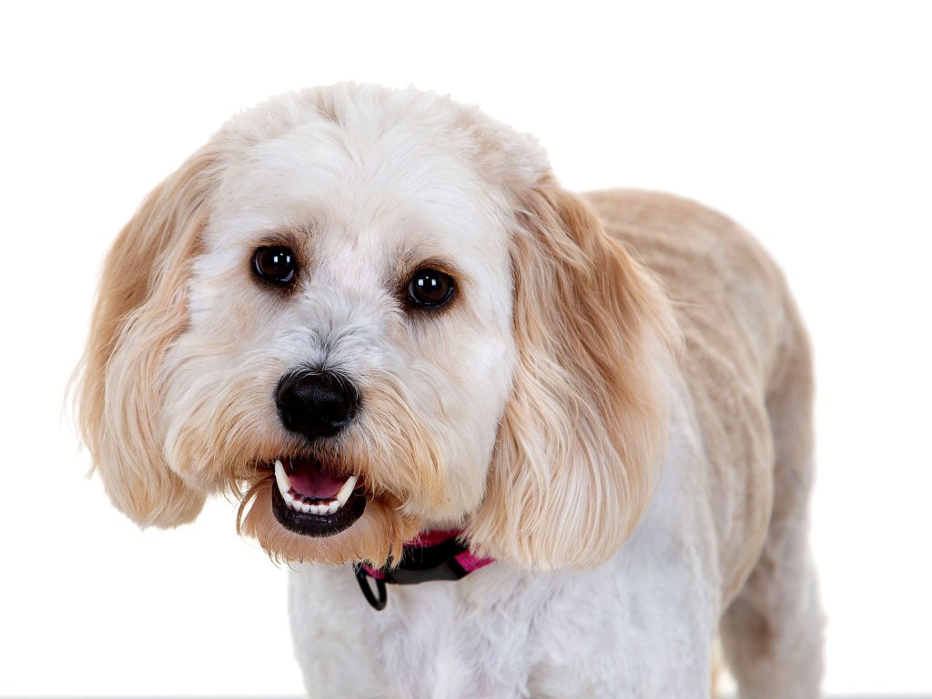 Gallery 2025 19 Belle Storey