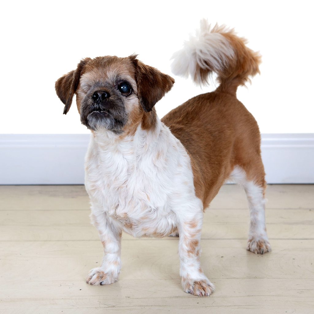 Gallery 2025 20 Benny dennison