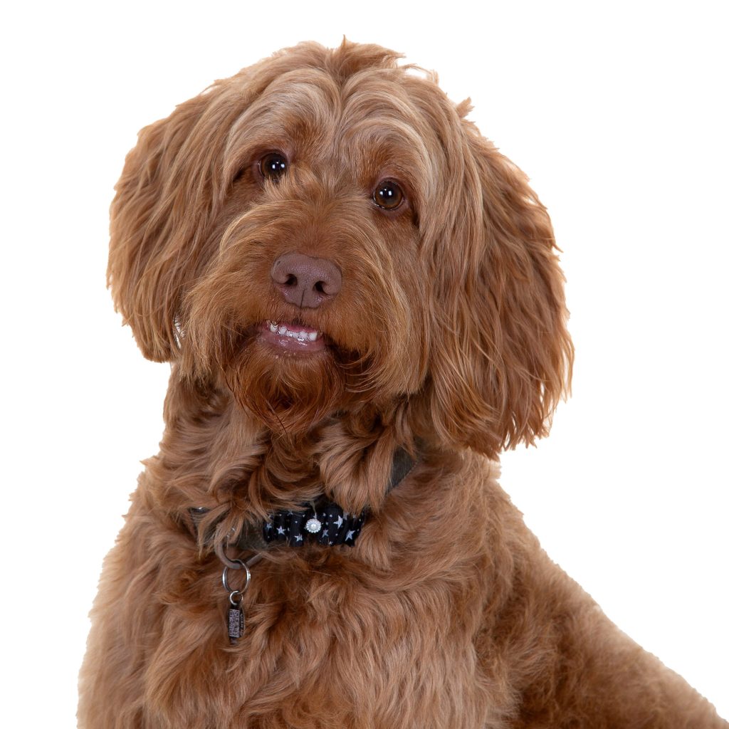 Gallery 2025 22 Bertie Barker