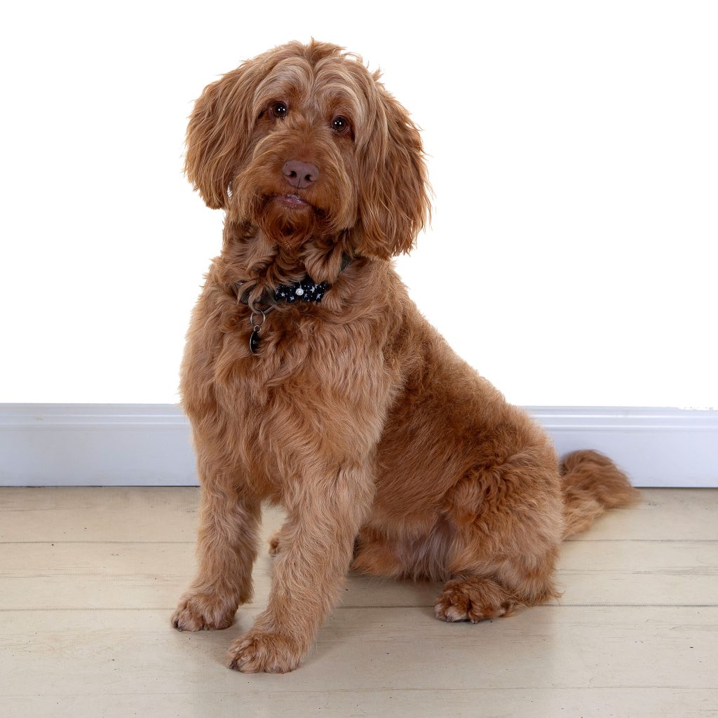 Gallery 2025 23 Bertie Barker