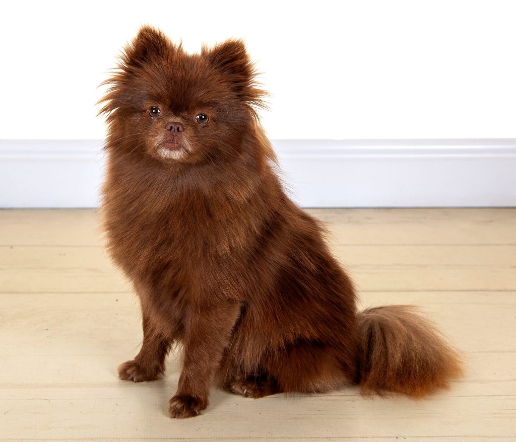 Gallery 2025 24 Betty Boo Place