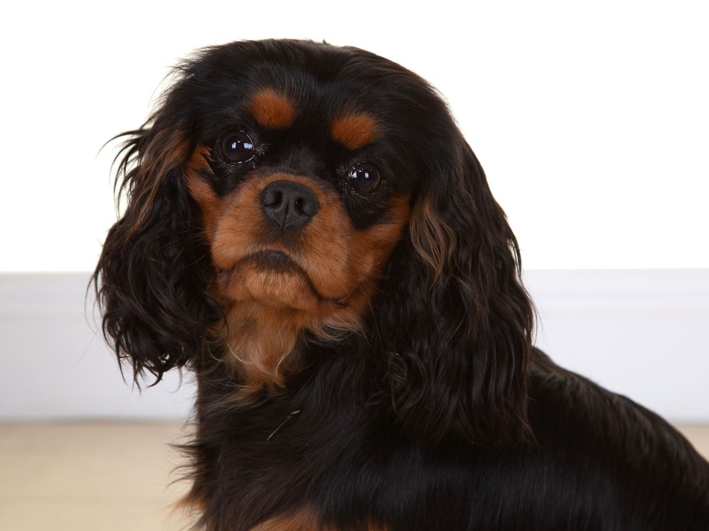 Gallery 2025 28 Bree Linton