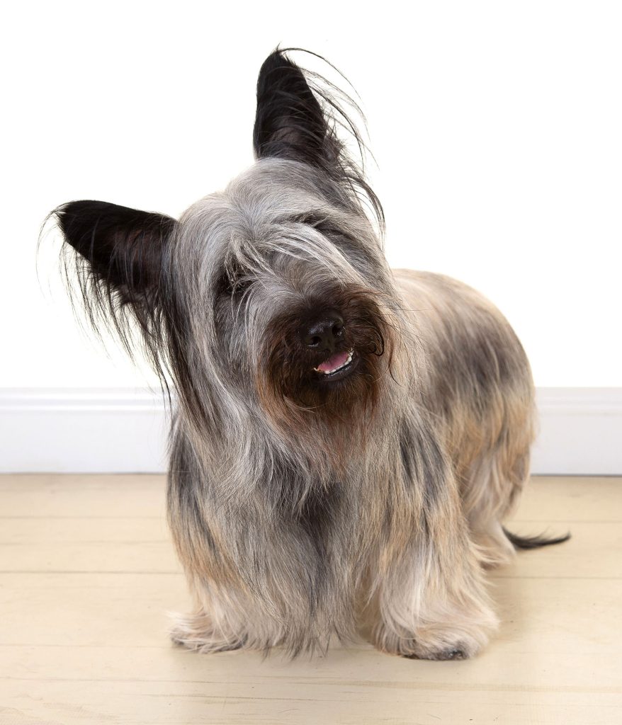 Gallery 2025 29 Bruce taylor