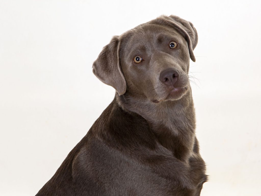 Gallery 2025 30 Caoimhe Hill