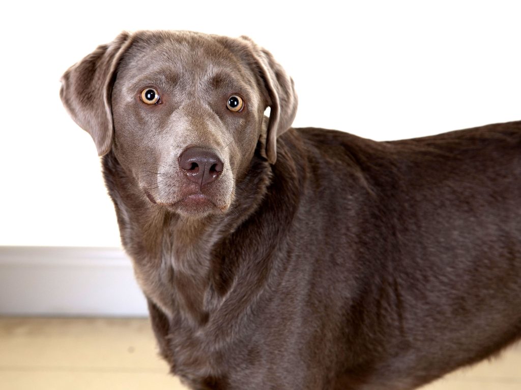 Gallery 2025 31 Caoimhe Hill