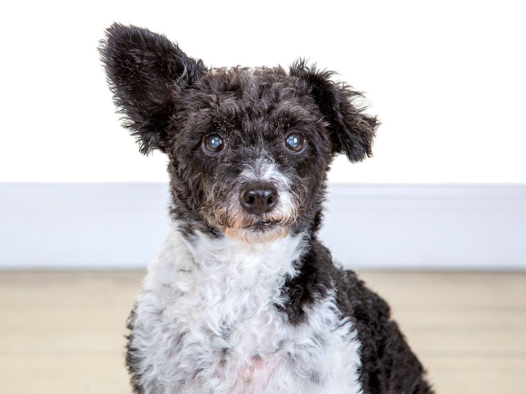 Gallery 2025 32 Charlie Wolf