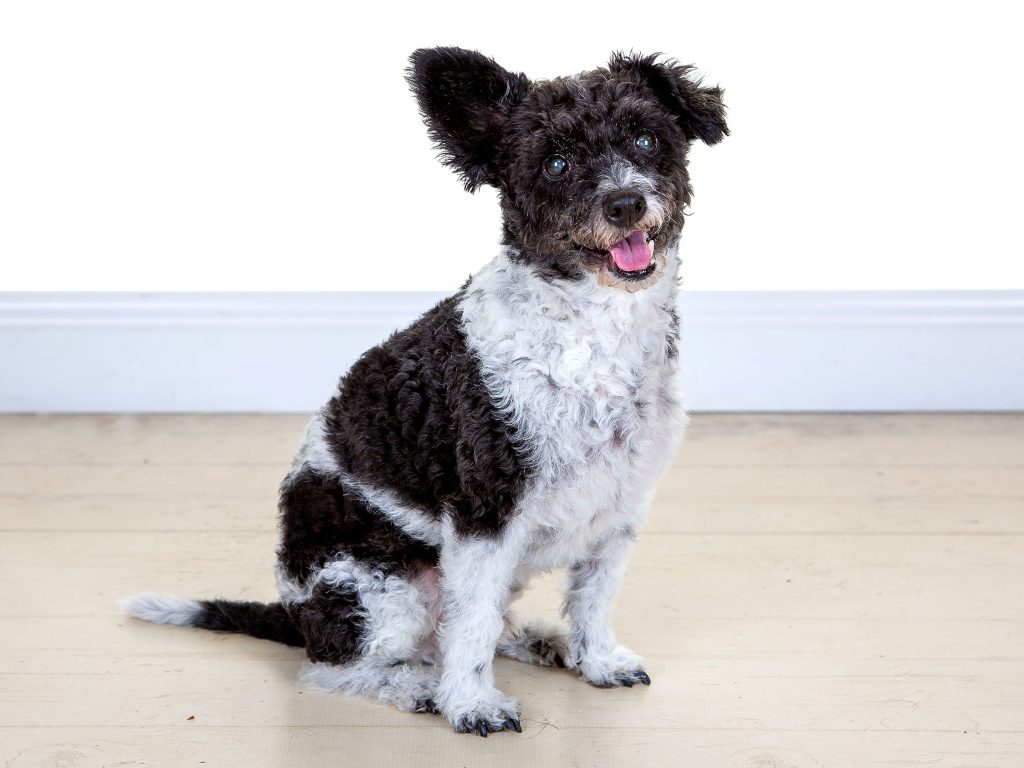 Gallery 2025 33 Charlie Wolf