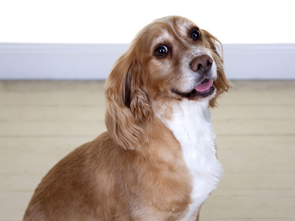 Gallery 2025 37 Derek Lewis