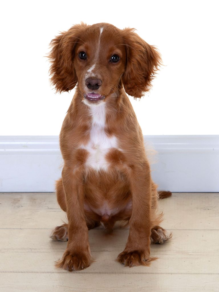 Gallery 2025 38 Dexter Nolan