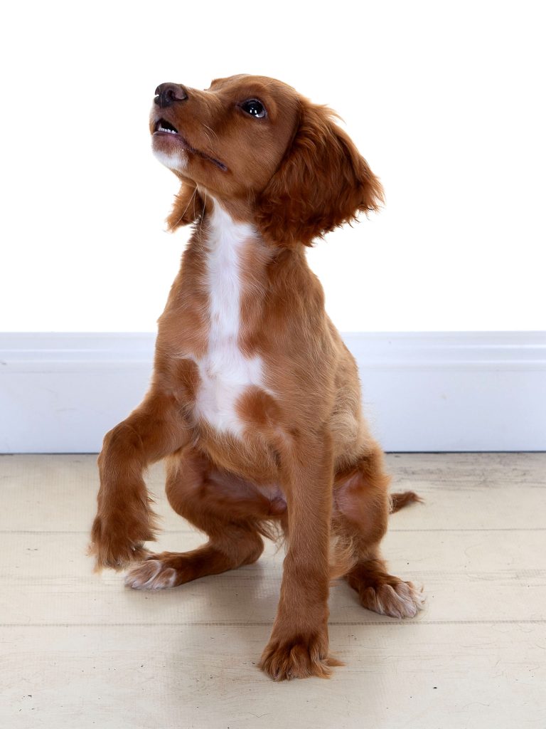 Gallery 2025 39 Dexter Nolan