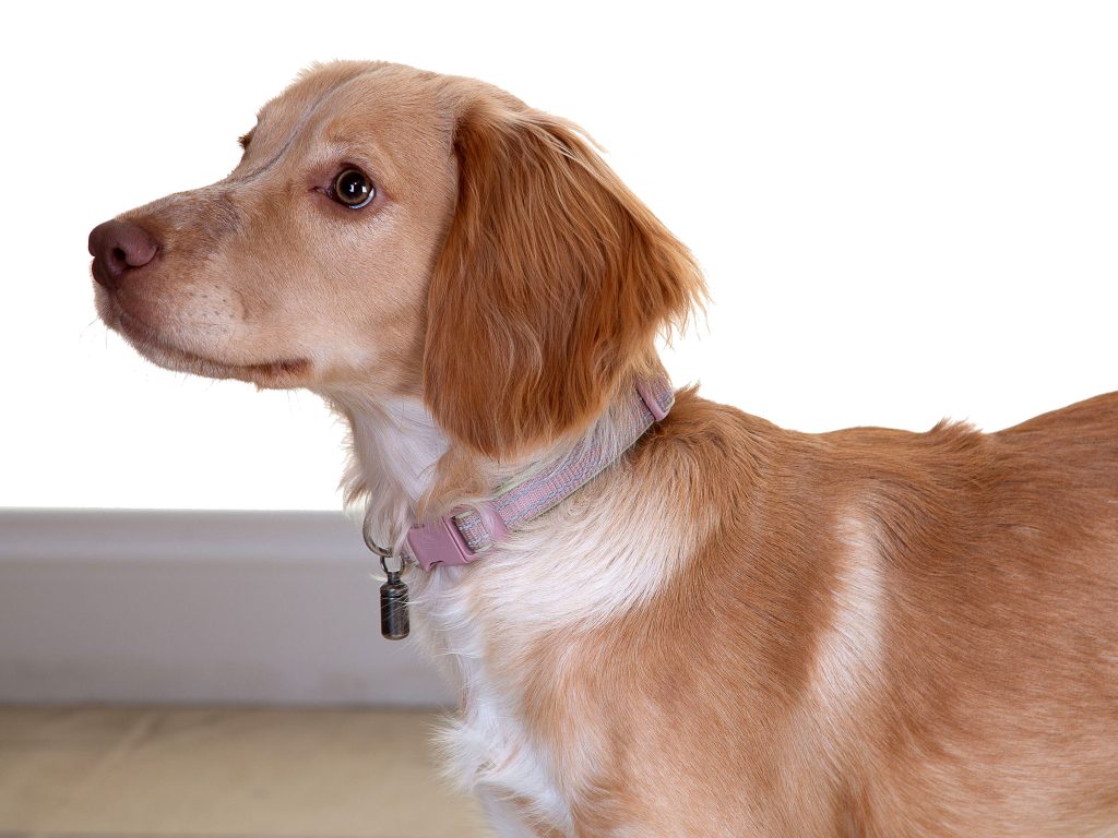 Gallery 2025 40 Disco hall