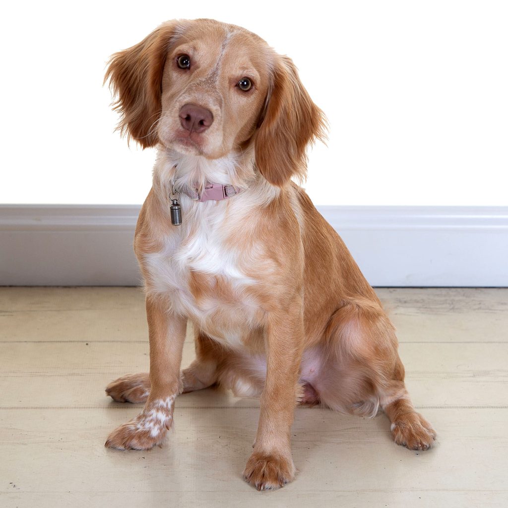 Gallery 2025 41 Disco hall