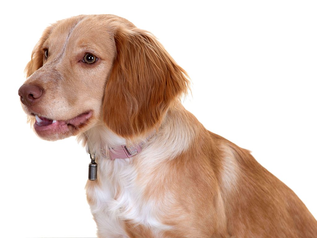 Gallery 2025 42 Disco hall