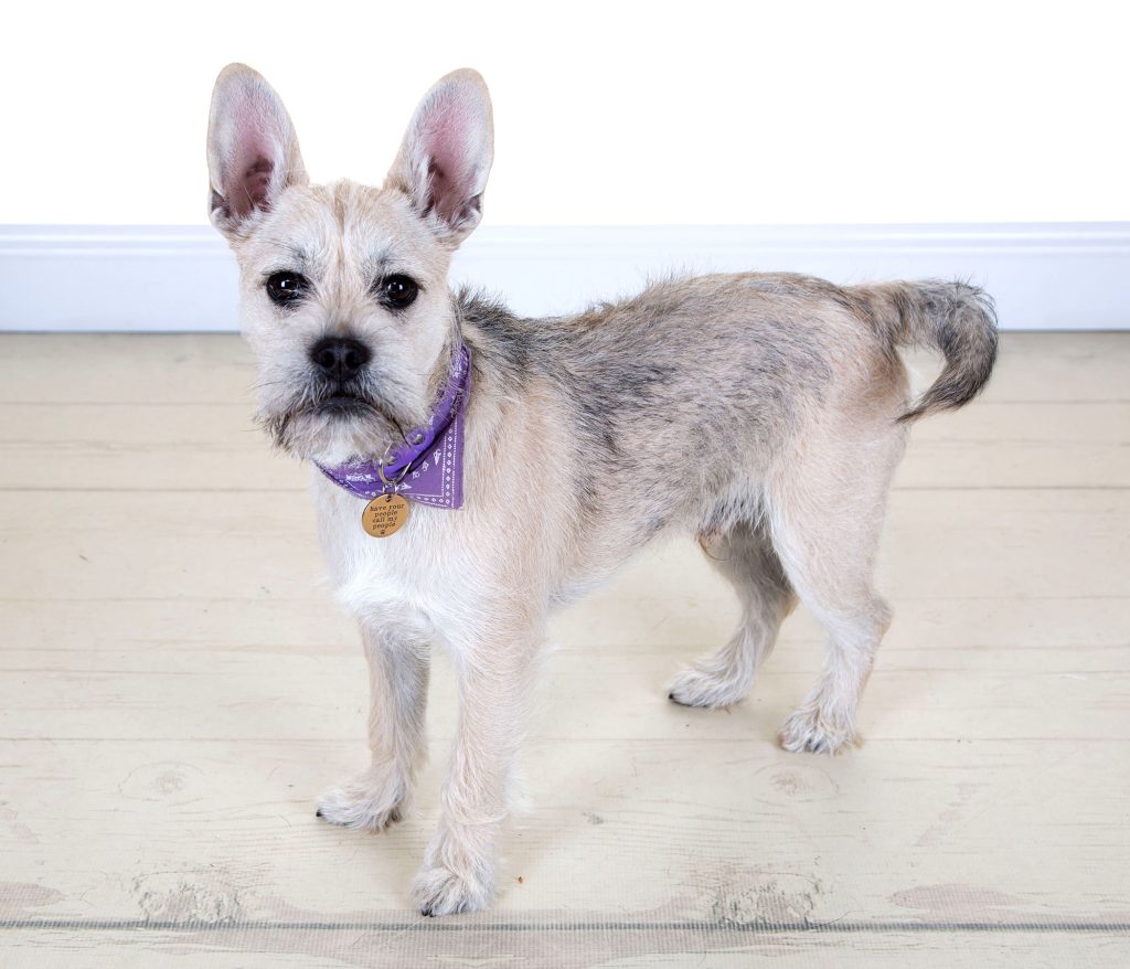 Gallery 2025 43 Dobbie Ashby