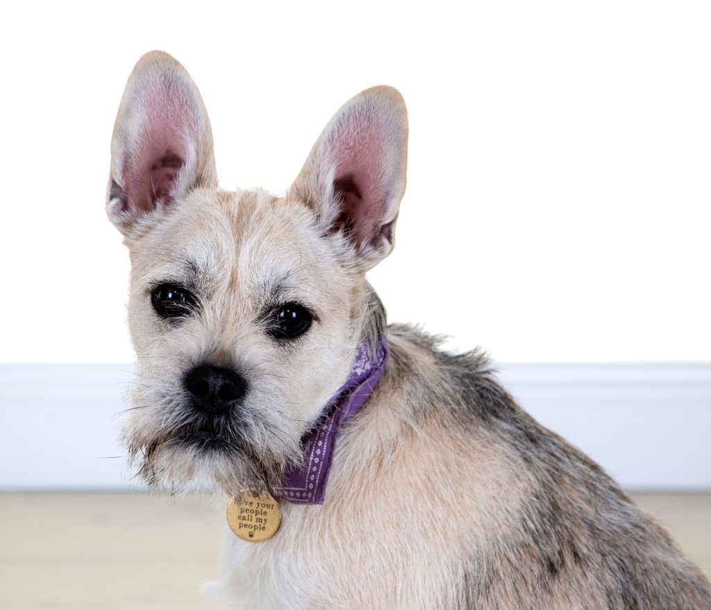 Gallery 2025 44 Dobbie Ashby