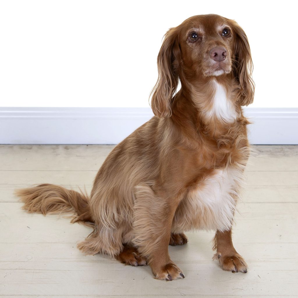 Gallery 2025 50 Emi Lindsay