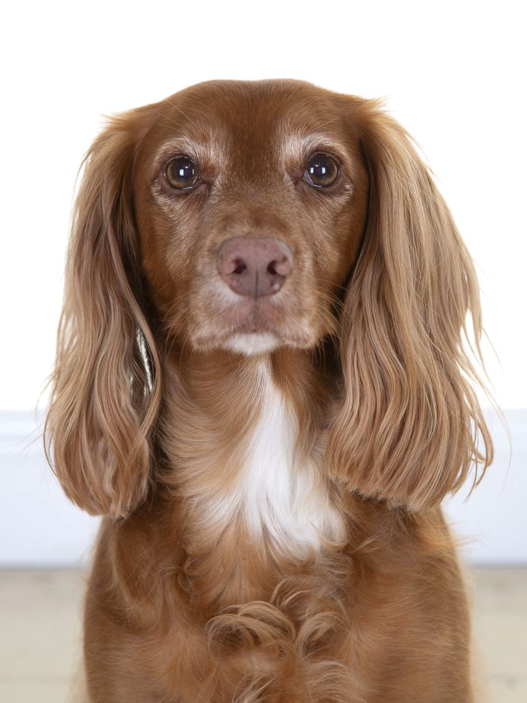 Gallery 2025 51 Emi Lindsay