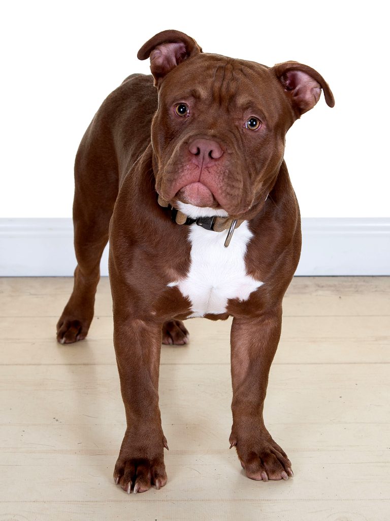 Gallery 2025 53 Ernie Frost