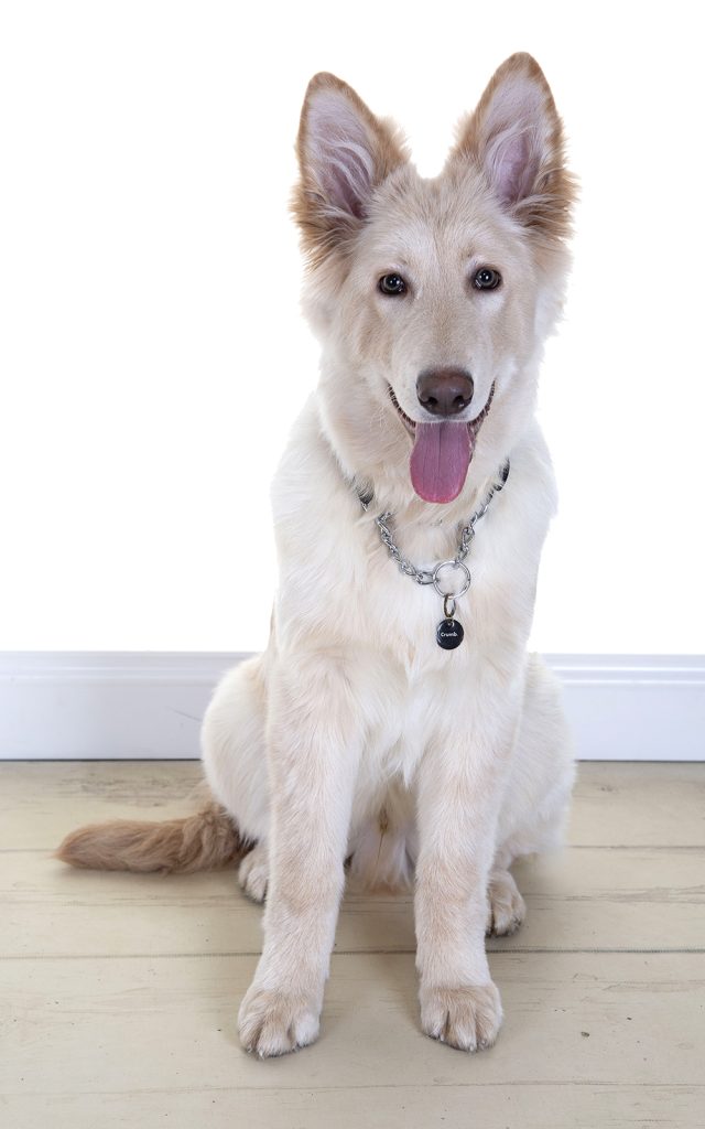 Gallery 2025 58 Ghost Manning