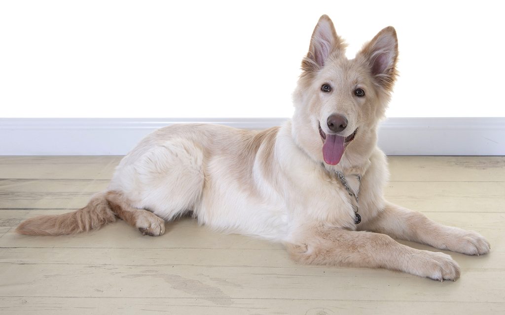 Gallery 2025 59 Ghost Manning