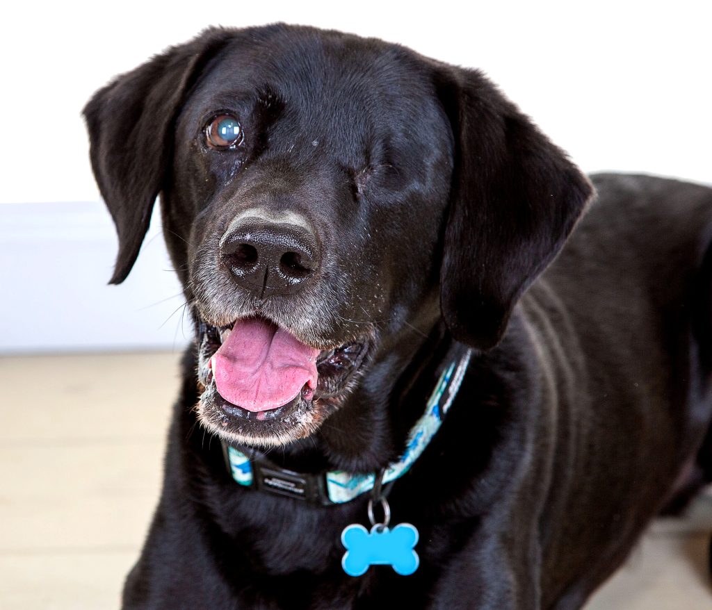 Gallery 2025 66 Harvey Swinney