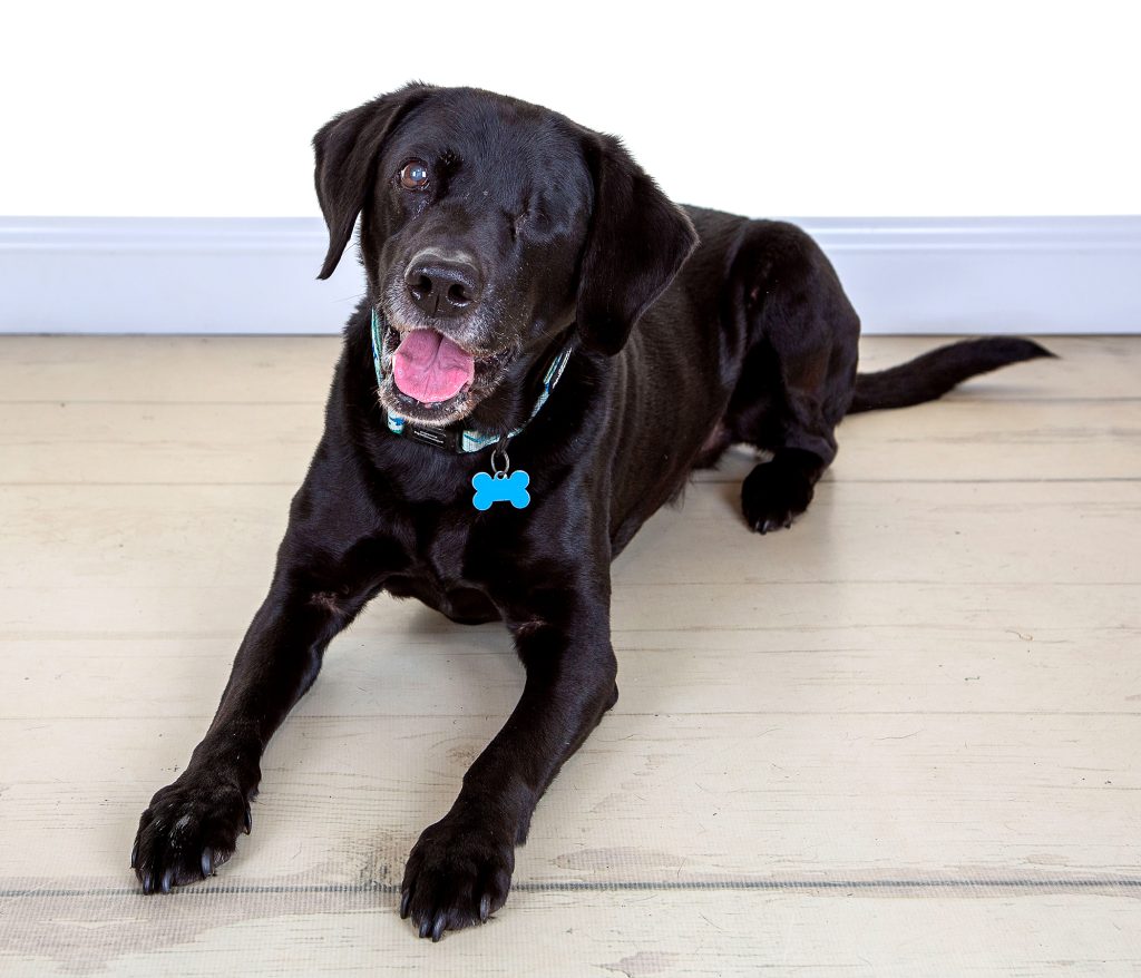 Gallery 2025 68 Harvey Swinney