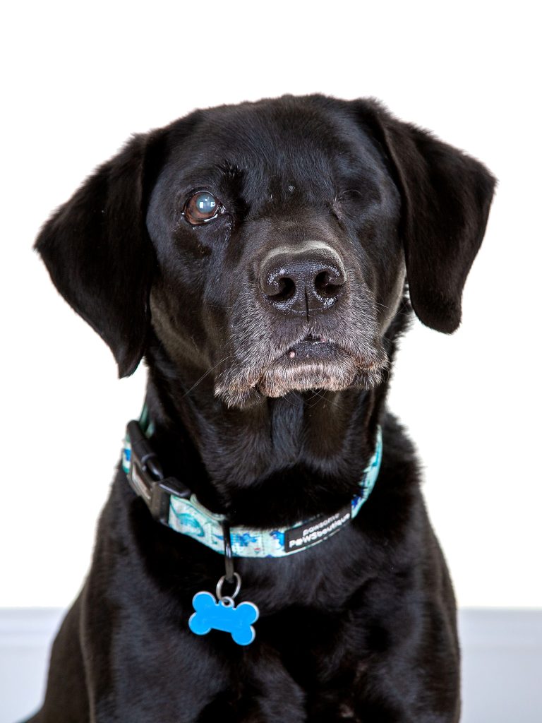 Gallery 2025 67 Harvey Swinney