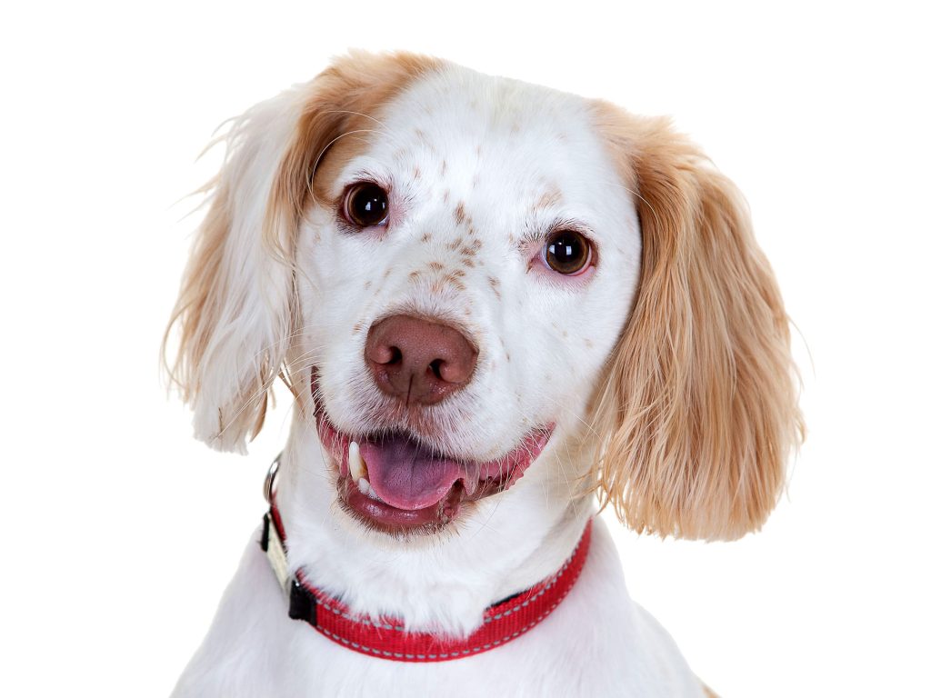 Gallery 2025 75 Henry Silva-Pita