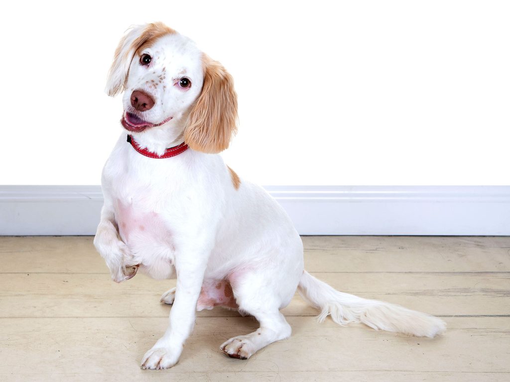 Gallery 2025 76 Henry Silva-Pita