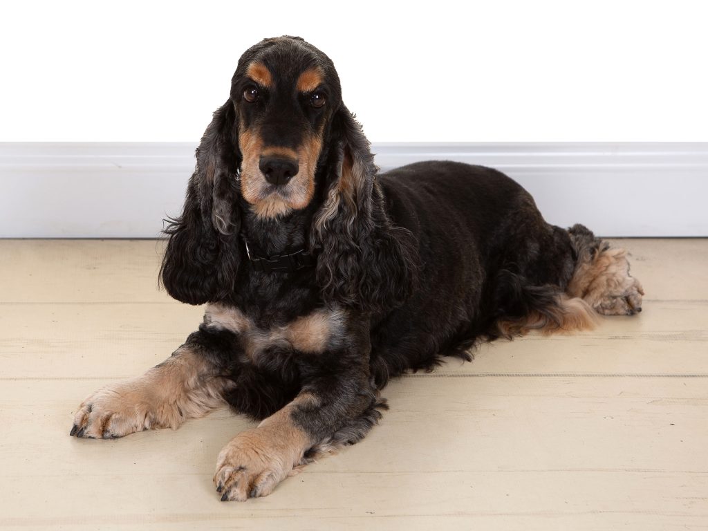 Gallery 2025 77 Hero Moody