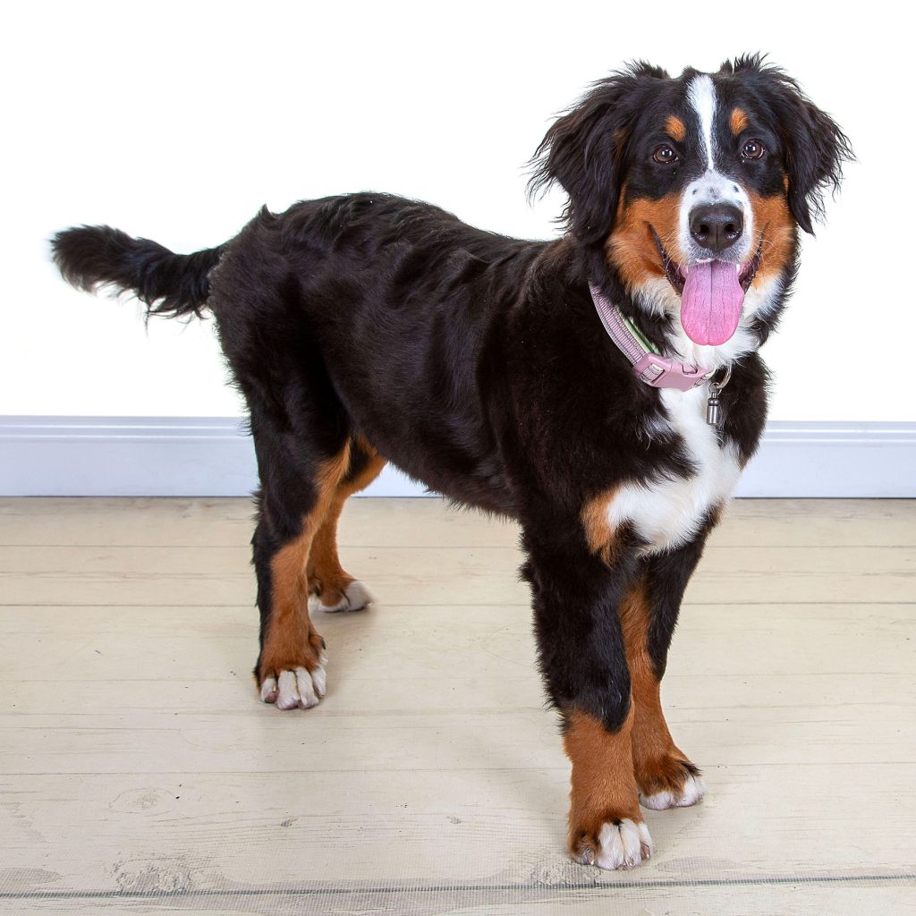 Gallery 2025 79 Honey Hills