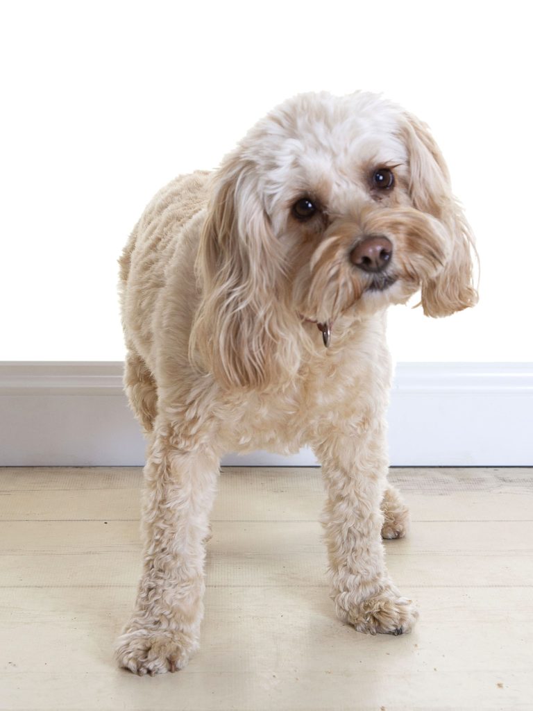 Gallery 2025 83 Jasmine Moran