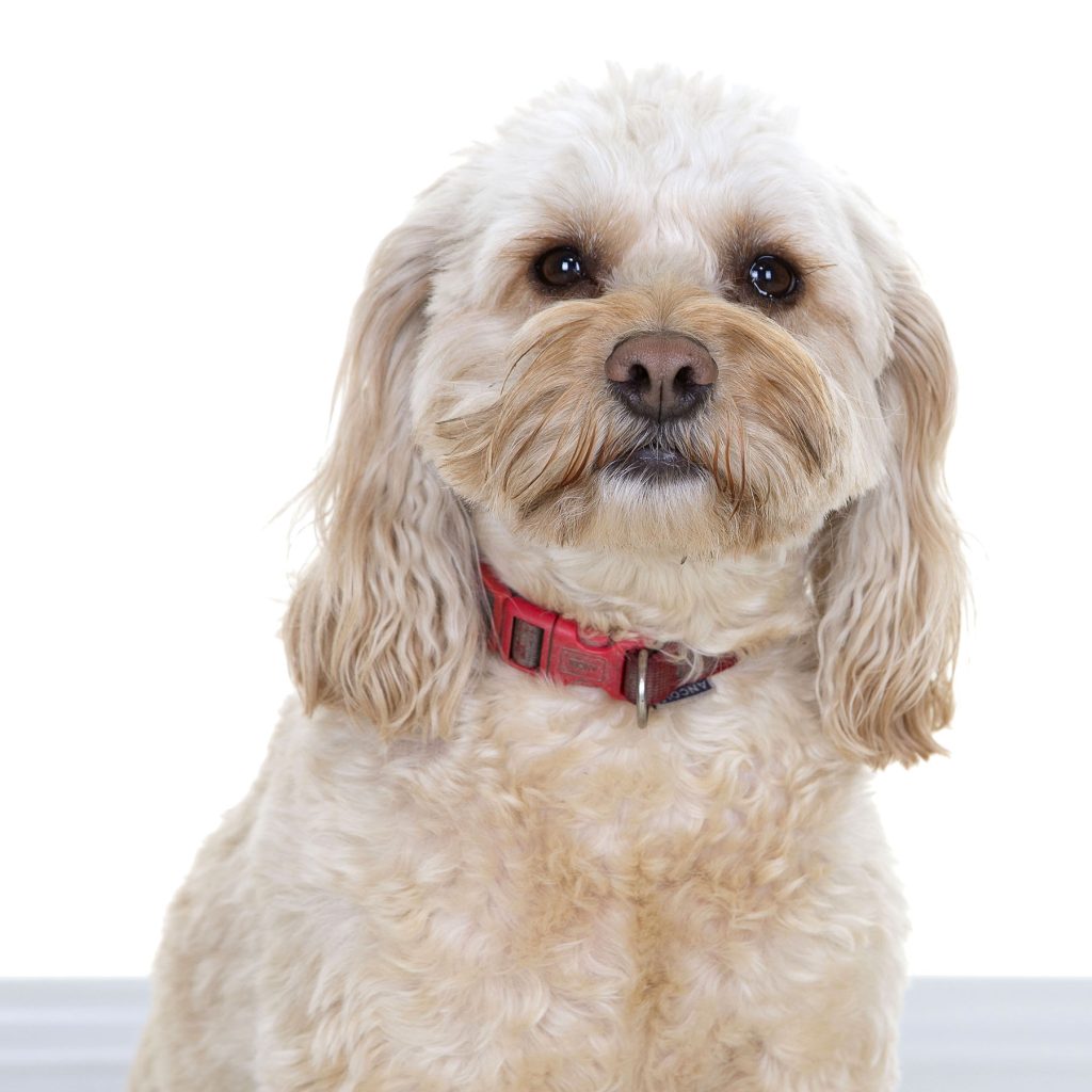 Gallery 2025 84 Jasmine Moran