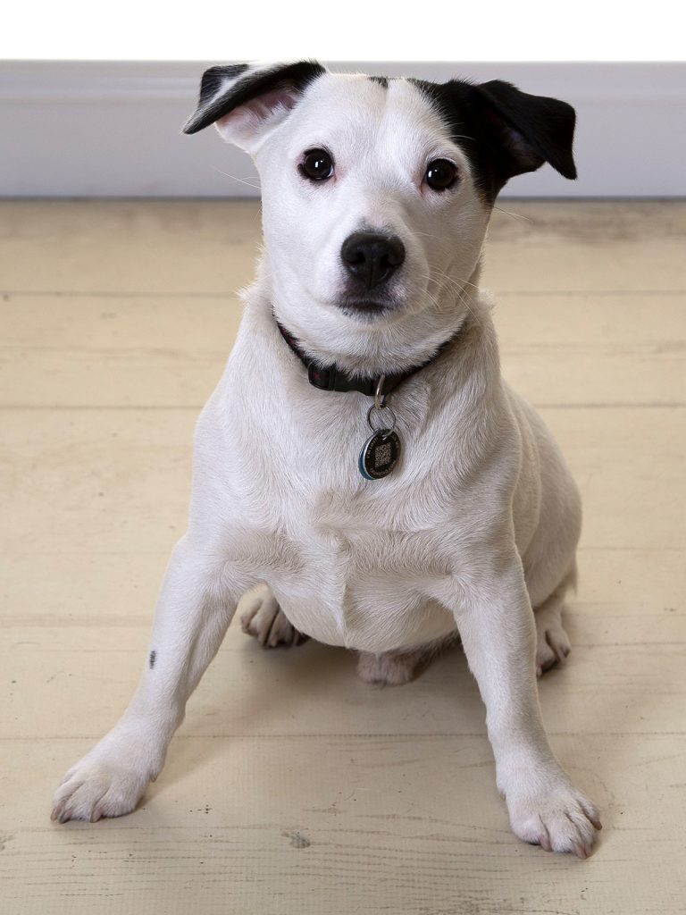 Gallery 2025 85 Jasper Johnson