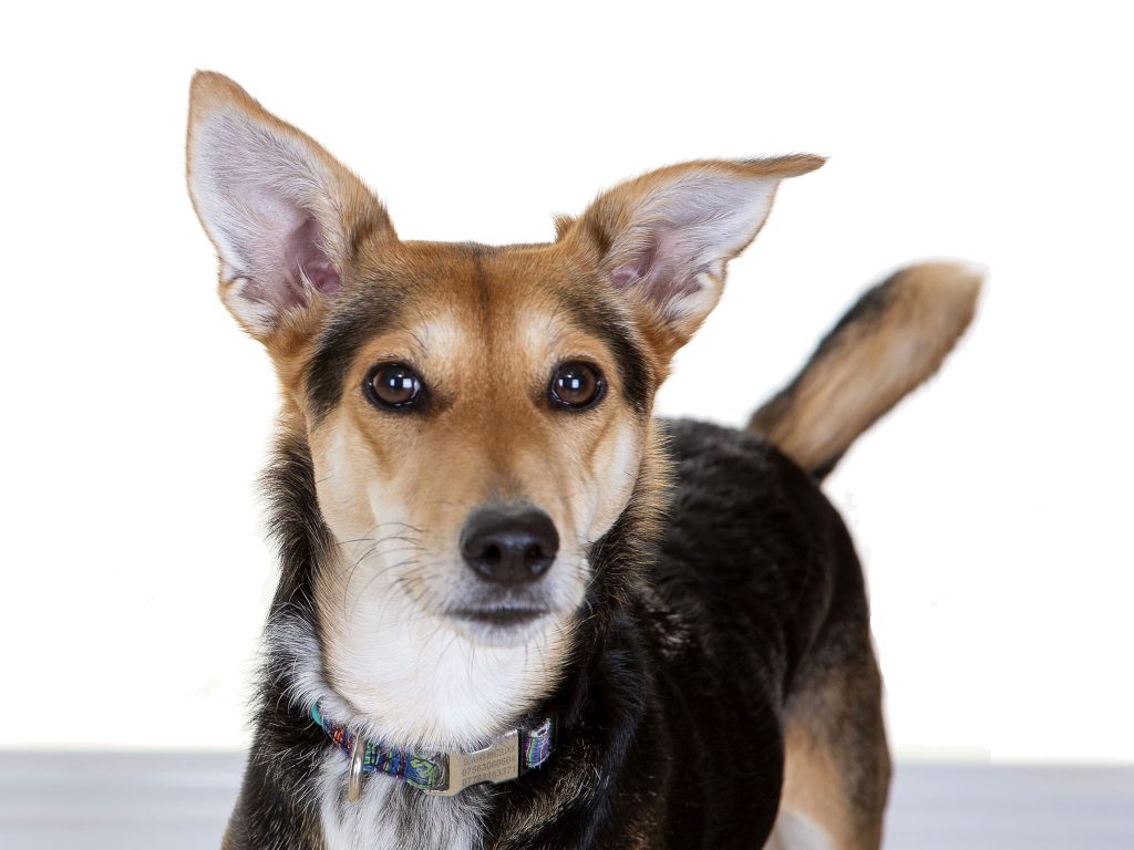 Gallery 2025 86 Jeanie Gowans