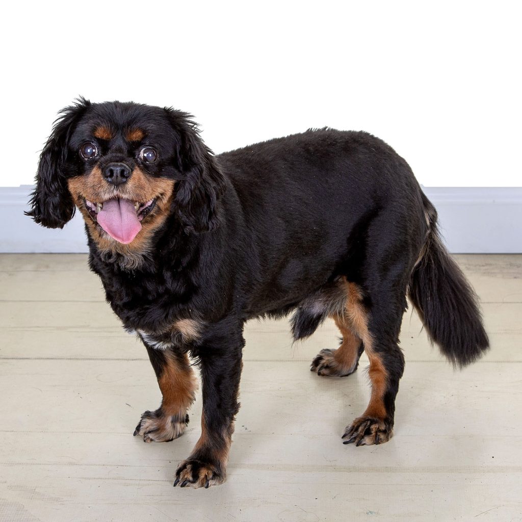 Gallery 2025 88 Joe Tully