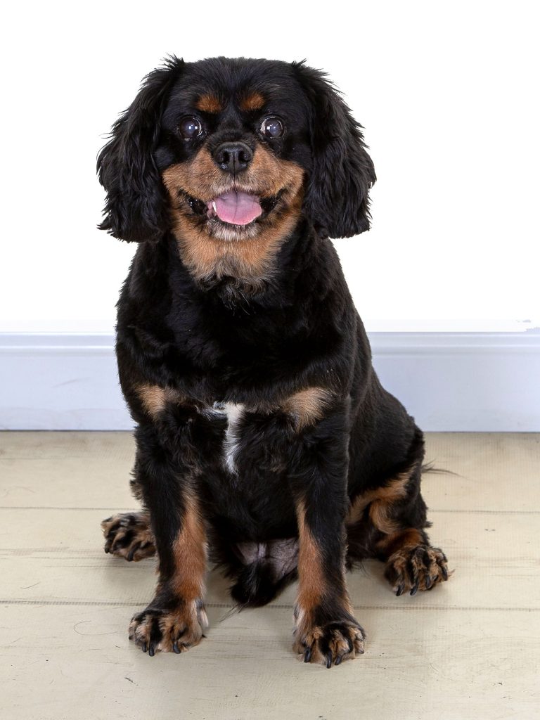 Gallery 2025 89 Joe Tully